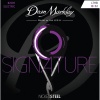 Dean Markley DM2504 Signature LTHB Комплект струн для электрогитары, никелированные, 10-52